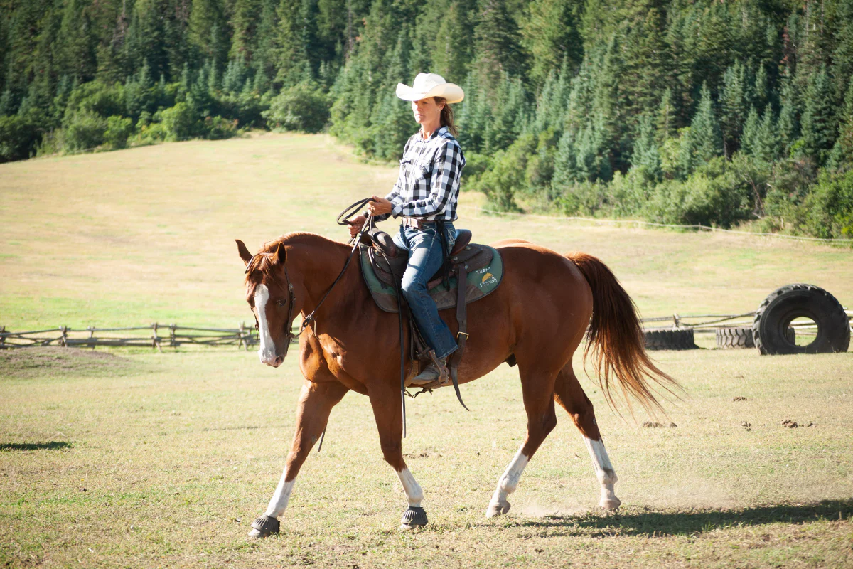 Horseback Riding on the Shore